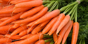 all about carrots