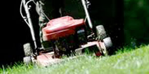 best gas lawn mower engine