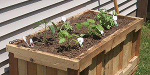 containers for garden