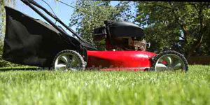 gas lawn mower engine