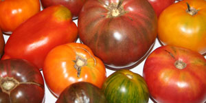 types of tomatoes