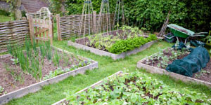 planning the organic garden