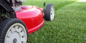 best lawn mower clippings management