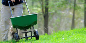 fertilizing a lawn