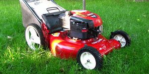 gas lawn mower grass management