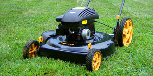 gas lawn mower engine