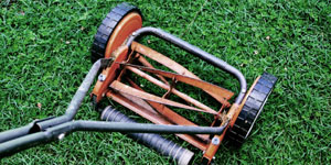 best reel mower other considerations