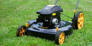 lawn mower type