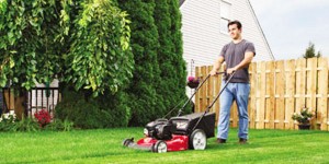 best gas lawn mower