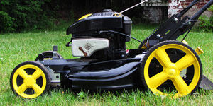 gas lawn mower best choice