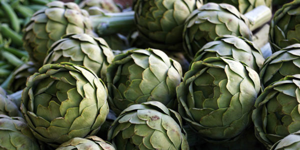 Growing Artichokes | Garden Dad