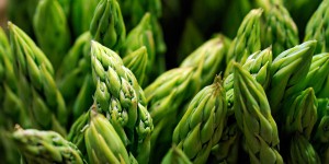 how to grow asparagus