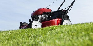 lawn mower buying guide