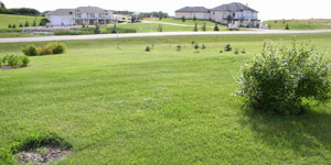 lawn mower landscape