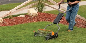 reel mower reviews