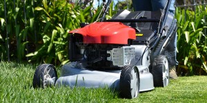 walk-behind mower buying guide